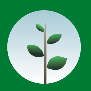 Lorem ipsum dolor sit